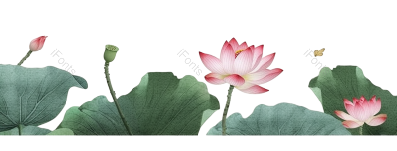 叶子图片,元素元素,清新PNG,荷花免抠素材
